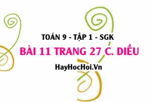 Bài 11 trang 27 Toán 9 tập 1 Cánh Diều